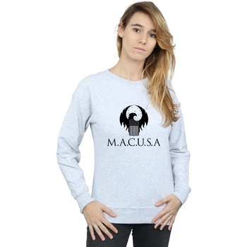textil Mujer Sudaderas Fantastic Beasts MACUSA Logo Gris