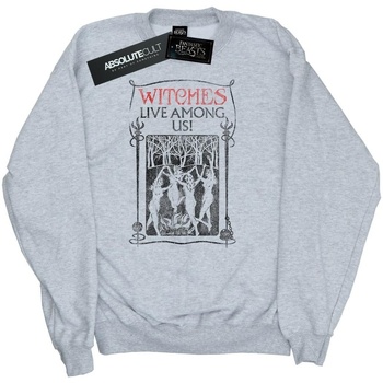 textil Mujer Sudaderas Fantastic Beasts Witches Live Among Us Gris