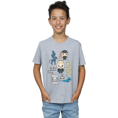 textil Niño Camisetas manga corta Fantastic Beasts Chibi Grindelwald Gris