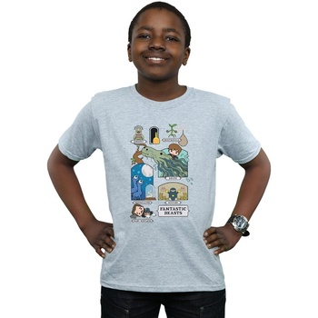 textil Niño Camisetas manga corta Fantastic Beasts Chibi Newt Gris