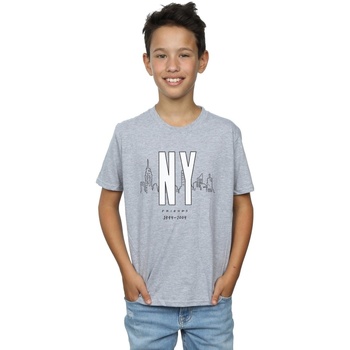 textil Niño Tops y Camisetas Friends NY City Gris