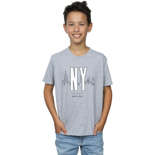 textil Niño Tops y Camisetas Friends NY City Gris