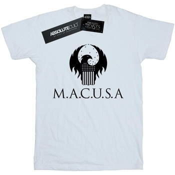 textil Niña Camisetas manga larga Fantastic Beasts MACUSA Logo Blanco