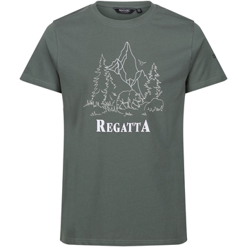 textil Hombre Camisetas manga larga Regatta RG9279 Verde