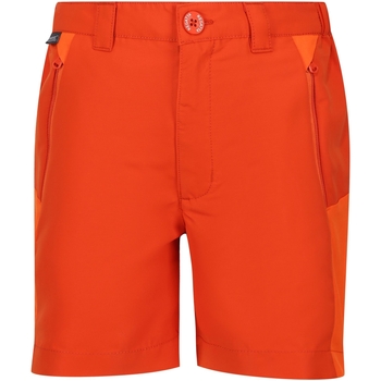 textil Niños Shorts / Bermudas Regatta Sorcer Mountain III Naranja