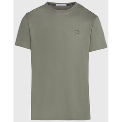 textil Hombre Camisetas manga corta Calvin Klein Jeans J30J325268 Verde
