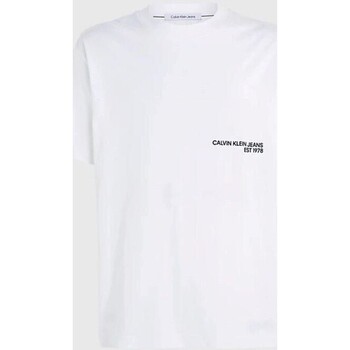 textil Hombre Camisetas manga corta Calvin Klein Jeans J30J324652YAF Blanco