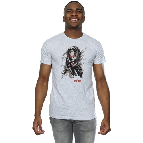 textil Hombre Camisetas manga larga Marvel Ant-Man Running Gris