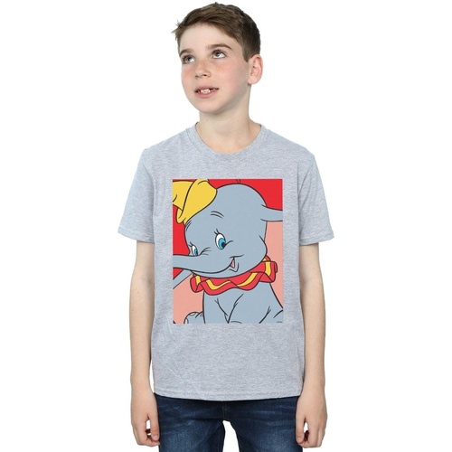 textil Niño Tops y Camisetas Disney Dumbo Portrait Gris