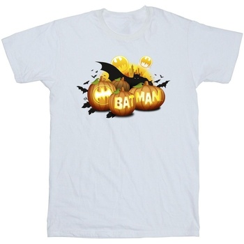 textil Hombre Camisetas manga larga Dc Comics Batman Pumpkins Blanco
