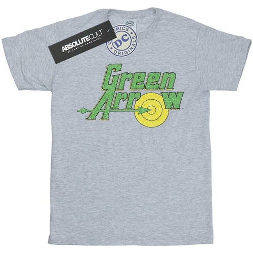 textil Niña Camisetas manga larga Dc Comics Green Arrow Crackle Logo Gris