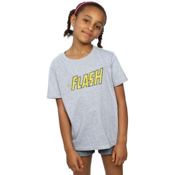 textil Niña Camisetas manga larga Dc Comics Flash Crackle Logo Gris