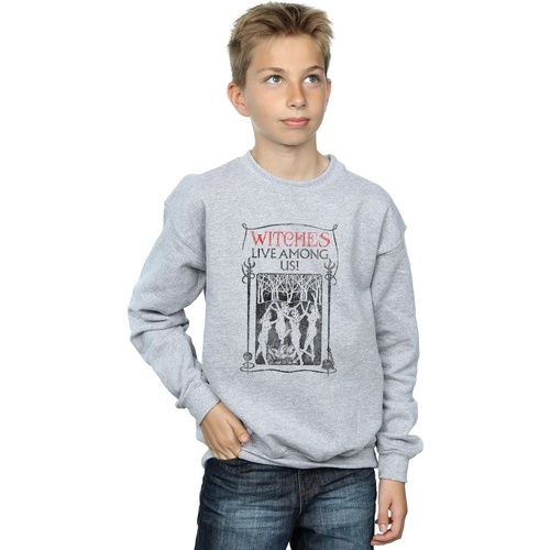 textil Niño Sudaderas Fantastic Beasts Witches Live Among Us Gris
