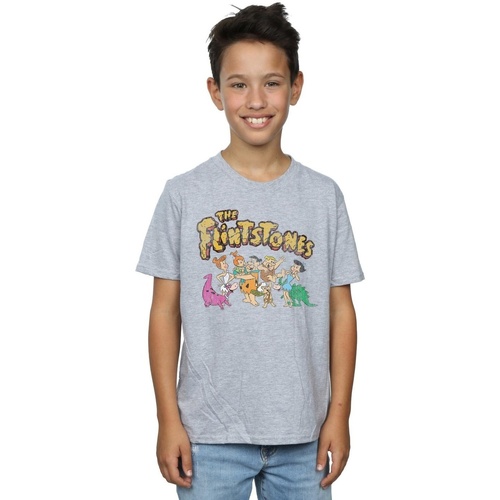 textil Niño Camisetas manga corta The Flintstones Group Distressed Gris