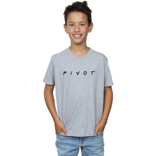 textil Niño Camisetas manga corta Friends Pivot Logo Gris
