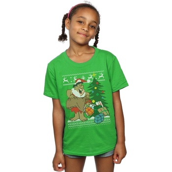 textil Niña Camisetas manga larga The Flintstones Christmas Fair Isle Verde