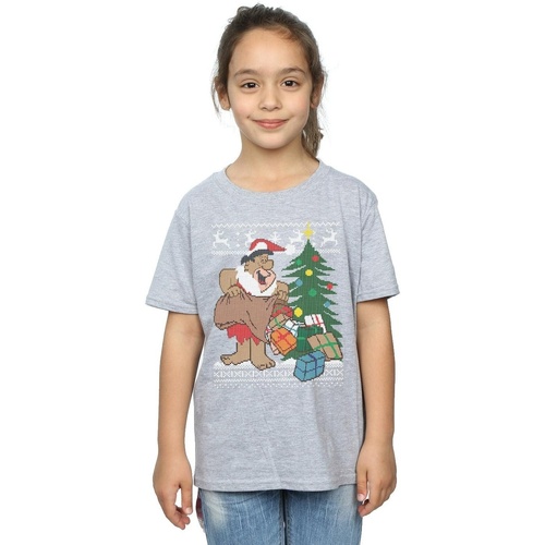 textil Niña Camisetas manga larga The Flintstones Christmas Fair Isle Gris