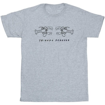 textil Niño Camisetas manga corta Friends Lobster Logo Gris