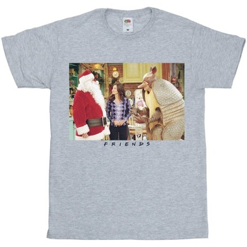 textil Niña Camisetas manga larga Friends Christmas Armadillo Gris