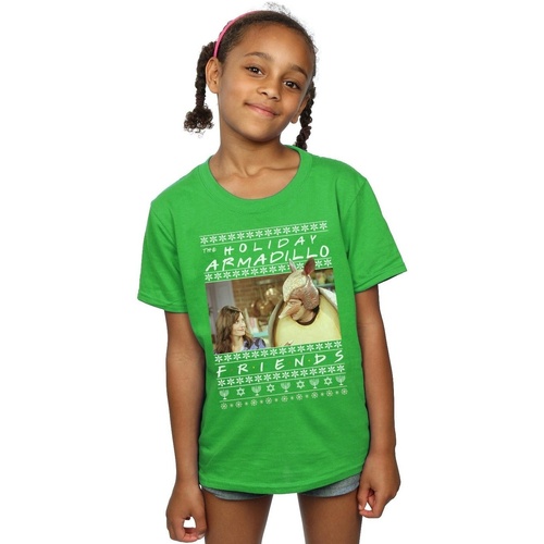 textil Niña Camisetas manga larga Friends Fair Isle Holiday Armadillo Verde