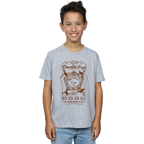 textil Niño Tops y Camisetas Harry Potter Chocolate Frogs Mono Label Gris