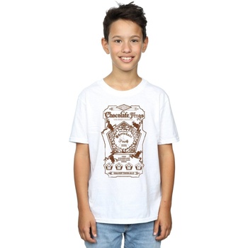 textil Niño Camisetas manga corta Harry Potter Chocolate Frogs Mono Label Blanco