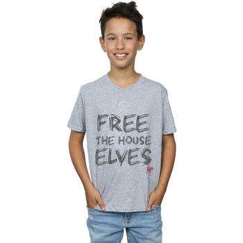 textil Niño Camisetas manga corta Harry Potter Dobby Free The House Elves Gris
