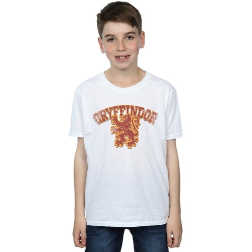 textil Niño Tops y Camisetas Harry Potter Gryffindor Sport Emblem Blanco