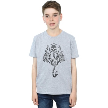 textil Niño Tops y Camisetas Harry Potter Dark Mark Crest Gris