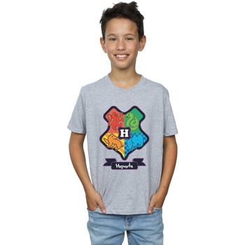 textil Niño Camisetas manga corta Harry Potter Hogwarts Junior Crest Gris