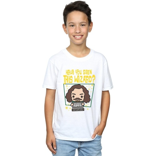 textil Niño Camisetas manga corta Harry Potter Sirius Black Azkaban Junior Blanco