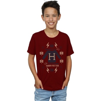 textil Niño Camisetas manga corta Harry Potter Christmas Knit Multicolor