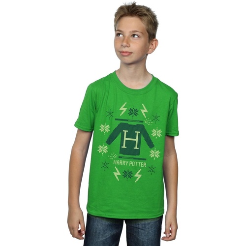 textil Niño Camisetas manga corta Harry Potter Christmas Knit Verde