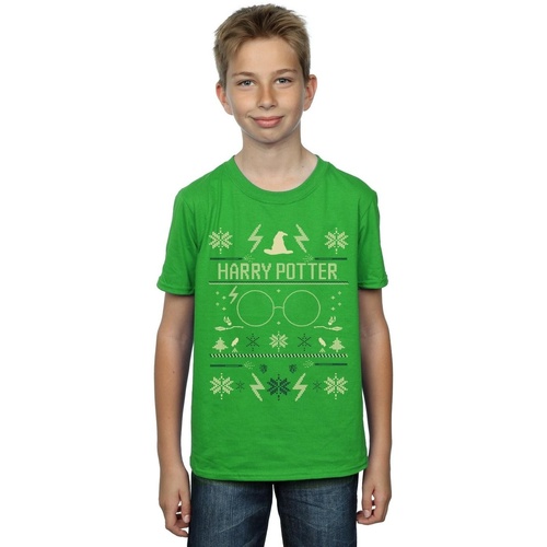 textil Niño Camisetas manga corta Harry Potter Christmas Pattern Verde