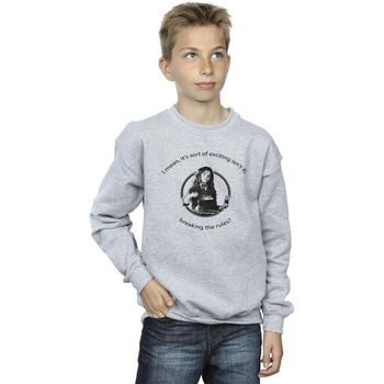 textil Niño Sudaderas Harry Potter Hermione Breaking The Rules Gris