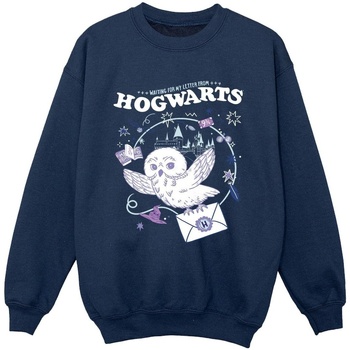 textil Niño Sudaderas Harry Potter Owl Letter From Hogwarts Azul