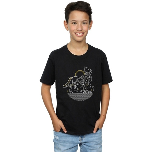 textil Niño Tops y Camisetas Harry Potter Buckbeak Line Art Negro