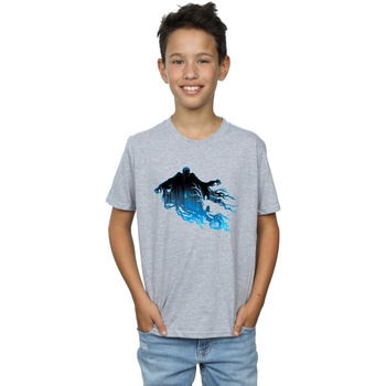 textil Niño Tops y Camisetas Harry Potter Dementor Silhouette Gris