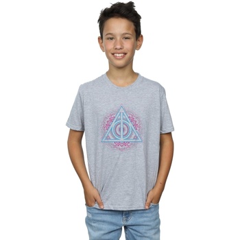 textil Niño Camisetas manga corta Harry Potter Neon Deathly Hallows Gris