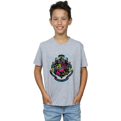 textil Niño Tops y Camisetas Harry Potter Neon Hogwarts Crest Gris