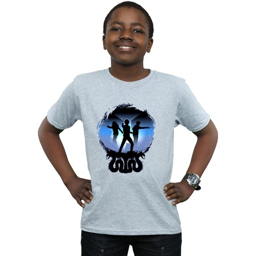 textil Niño Tops y Camisetas Harry Potter BI20426 Gris