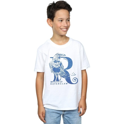 textil Niño Tops y Camisetas Harry Potter Ravenclaw Glitter Blanco