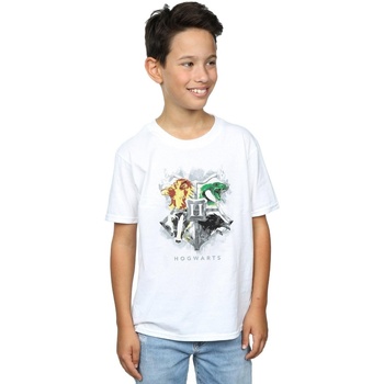 textil Niño Tops y Camisetas Harry Potter Hogwarts Painted Crest Blanco