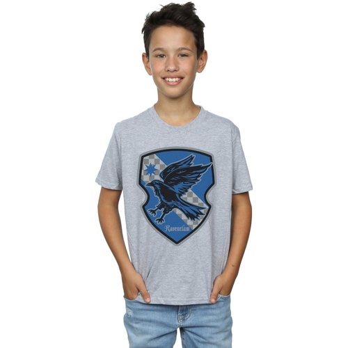 textil Niño Tops y Camisetas Harry Potter Ravenclaw Crest Flat Gris