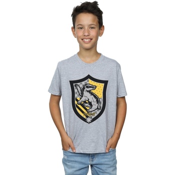 textil Niño Camisetas manga corta Harry Potter Hufflepuff Crest Flat Gris