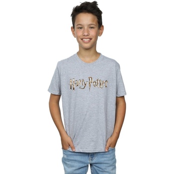 textil Niño Tops y Camisetas Harry Potter Full Colour Logo Gris