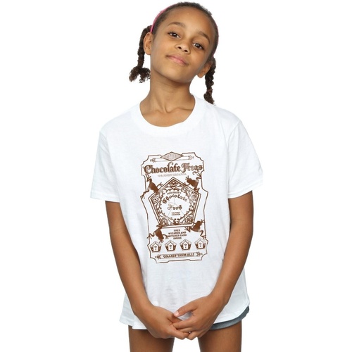 textil Niña Camisetas manga larga Harry Potter Chocolate Frogs Mono Label Blanco