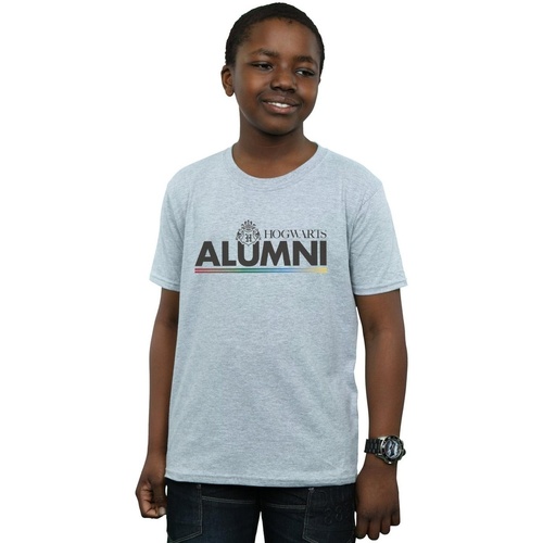 textil Niño Camisetas manga corta Harry Potter Hogwarts Alumni Gris