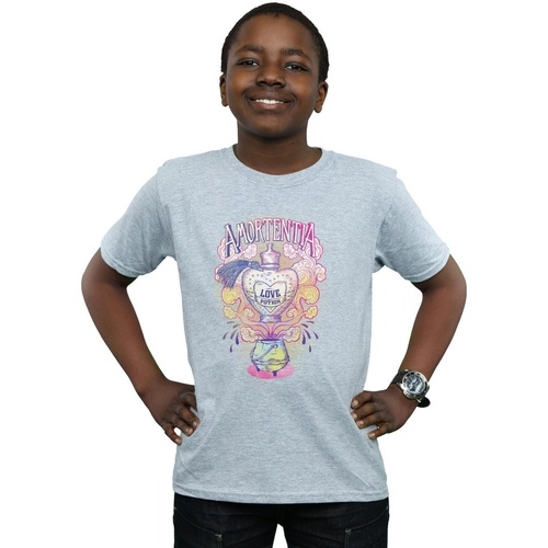 textil Niño Camisetas manga corta Harry Potter Love Potion Gris