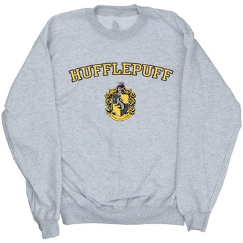 textil Niña Sudaderas Harry Potter Hufflepuff Crest Gris